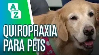 Quiropraxia em animais: como funciona? | Momento Pet - De A a Zuca (16/07/19)
