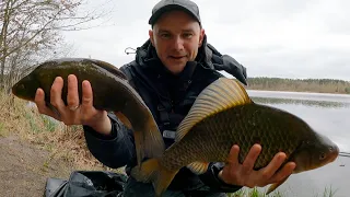 Sam nie mogłem w to uwierzyć !!! Siedem kloców, jeden po drugim !!! Na zwykłym jeziorze !!!