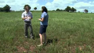 Prairie Fire: Managing Prairie Habitat with Prescribed Burning