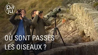 Lionel et Laurent répertorient les oiseaux et tentent de sauver leur habitat