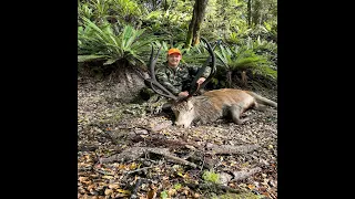 Hunting Public Land Roaring Reds