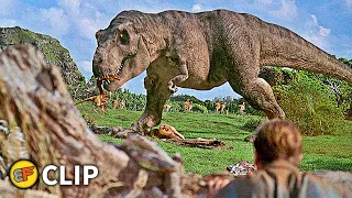 T-Rex Ambush - "They're Flocking This Way" Scene | Jurassic Park (1993) Movie Clip HD 4K