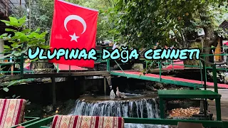 Antalya Ulupınar Doğa Cenneti Vlog 🐟 Balık restoran | Doğada Şelale manzaralı balık keyfi