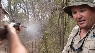 Elephant charge from behind - Zimbabwe Buffalo and Elephant hunt.