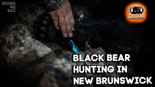 BLACK BEAR HUNTING IN NEW BRUNSWICK