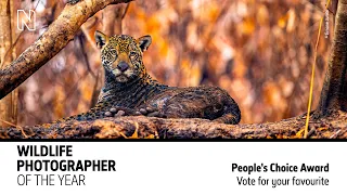 Wildlife Photographer of the Year 57: People's Choice Award  | Natural History Museum