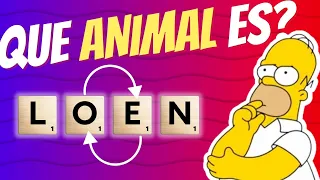 ADIVINA el ANIMAL correcto ordenando las letras 🤔🧠 | Test de Animales