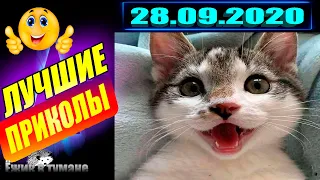 РЖАКА до Слез  BEST CUBE  Лучшие Видео из Инстаграм  BEST COUB  Видео Приколы  Отборные ПРИКОЛЫ