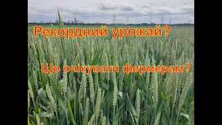 Коротко про погоду в Україні. Який буде урожай 2021 ?