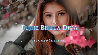 Tujhe Bhula Diya (Acoustic) | Lofi Music | [Slowed & Reverb] #sad #love #trending #viral #lofi