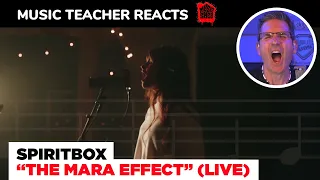 Music Teacher REACTS TO Spiritbox "The Mara Effect" (Live) | MUSIC SHED EP 148