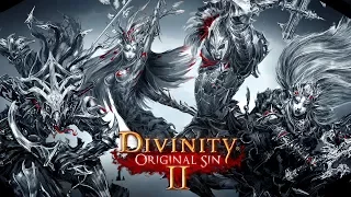 Divinity: Original Sin II  Обзор и мнение | А стоит ли? |