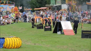 Paws For Thought Dog Display Team party in the park 2016#Rushden