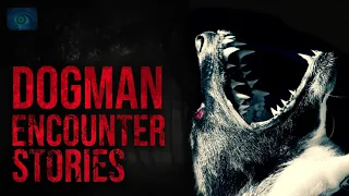 HORROR STORIES OF DOGMAN - SCARY STORIES