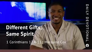 Different Gifts, Same Spirit | 1 Corinthians 12:4–11 | Our Daily Bread Video Devotional