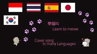 學貓叫 [ Learn to Meow Meow ] - Cover song in many languages