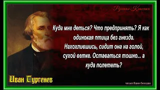 Без гнезда   — Иван Тургенев   — читает Павел Беседин