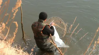 Рыбалка на промысловую речную  снасть(фитиль)