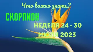 СКОРПИОН♏НЕДЕЛЯ 24 - 30 ИЮЛЯ 2023🌈ЧТО ВАЖНО ЗНАТЬ? 💫ГОРОСКОП ТАРО Ispirazione