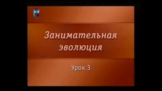 Эволюция животного мира. Урок 3. Кембрийский "взрыв"