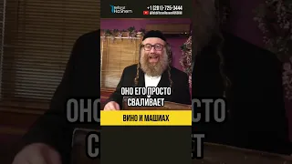 Вино, Еврейский Народ и Машиах 🍷Что произойдет в конце времён #shorts #тора