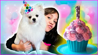 FIZ UMA FESTA DE ANIVERSÁRIO PARA A MINHA CACHORRA !  | Mayumi