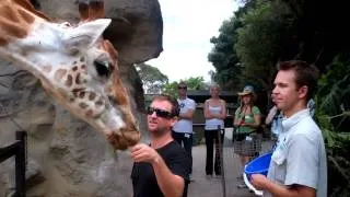 Be a Keeper For a Day at Taronga Zoo!