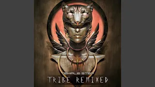 We Are A Tribe (Ujjayi Soundsystem Remix)