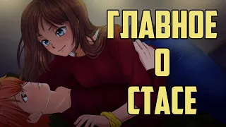 Инопланетянка. Главное о Стасе. Стася-рут