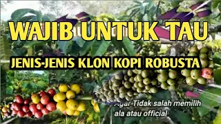 JENIS-JENIS KLON KOPI ROBUSTA