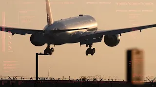 Improve airline safety, efficiency, and reliability with Ascentia