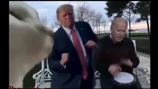 cat vibes and Trump dances to Biden street drum remix ievan polkka