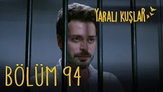 Yaralı Kuşlar 94. Bölüm