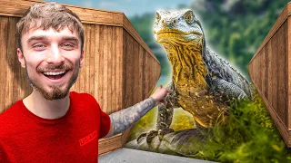 Day In The Life At The World's Best Reptile Zoo!