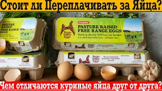 Стоит ли переплачивать за яйца?! Вообще чем отличаются куриные яйца друг от друга?!