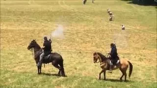 Civil war horses