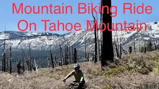 Tahoe Mountain (South) Mountain Biking Outing / MTB / 4K