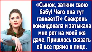 Сынок, успокой свою бабу! Чего она тут гавкает? Свекровь закрывала мне рот на моей же даче.