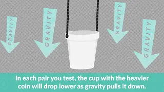 Want to Build Your Own Scale? Test How Much Coins Weight at Home!