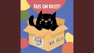 Kus on kass?