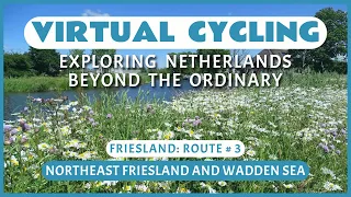 Virtual Cycling | Exploring Netherlands Beyond the Ordinary | Friesland Route # 3