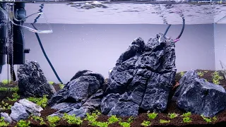 Seriyu Stone Aquascape: How to set up an ADA 60P Iwagumi