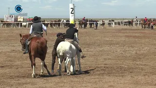 8va fiesta regional del domador domingo