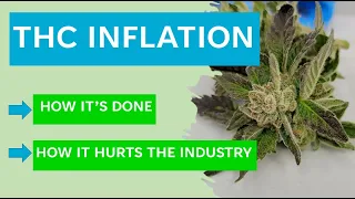 THC Potency Inflation - How it's Done and How it Hurts the Industry