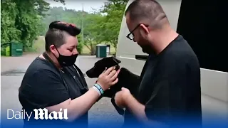 'You're home Phoenix': `Moment abandoned puppy starts new life after being abandoned