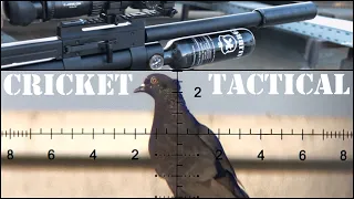 The Cricket Tactical at a New Pigeon Shooting Permission