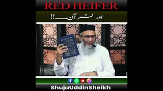 Red Heifer | aur Quran | #shujauddinsheikh