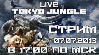 [LIVE] Tokyo Jungle