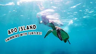 Swimming with Turtles at Apo Island