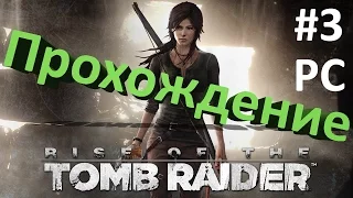 Rise of the Tomb Raider #3 Сибирская глушь